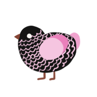A black and pink chicken with a lace pattern