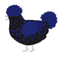 A sable and navy chicken with a speckle pattern