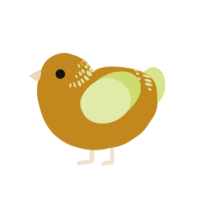 A ochre and lemon chicken with a neck-band pattern
