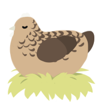 A beige and bark chicken with a half-lace pattern