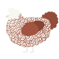 A white and russet chicken with a double-lace pattern