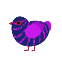 Aster, a navy and amethyst chicken with a bar pattern