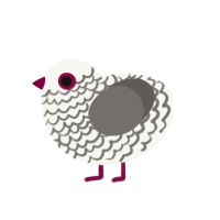 A white and grey chicken with a lace pattern