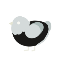 A sable and silver chicken with a head pattern