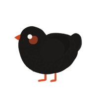 A sable chicken with a lace pattern