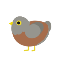A brown and ash chicken with a head pattern