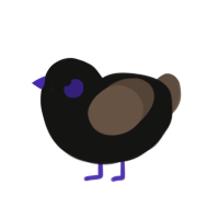 A black and bark chicken