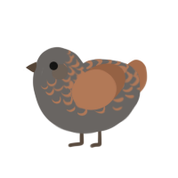 A grey and brown chicken with a half-lace pattern