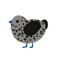 A ash and black chicken with a speckle pattern