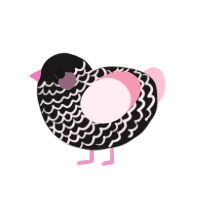 A sable and rose chicken with a lace pattern