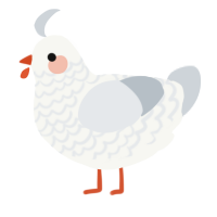 A white and mist chicken with a lace pattern