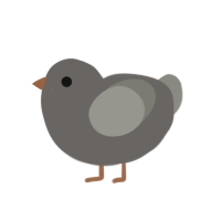 A grey and ash chicken