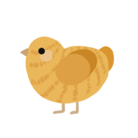 A honey and orange chicken with a bar pattern