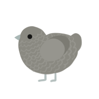 A ash chicken with a lace pattern