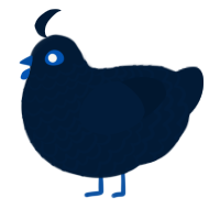 A tumblr chicken with a lace pattern