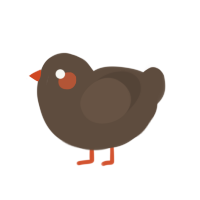 A bark chicken