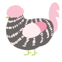 A grey and rose chicken with a bar pattern