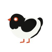 A white and black chicken with a head pattern