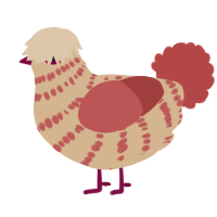 A beige and red chicken with a bar pattern