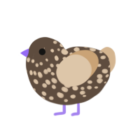 A bark and beige chicken with a speckle pattern