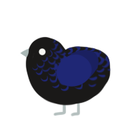 quoth the raven, a sable and navy chicken with a half-lace pattern