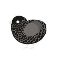 A sable and grey chicken with a lace pattern