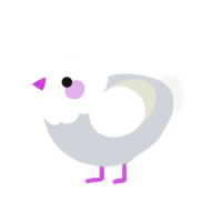 blushy crushy, a mist and white chicken with a head pattern