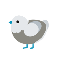 A ash and mist chicken with a head pattern