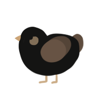 (unnamed), a black and bark chicken