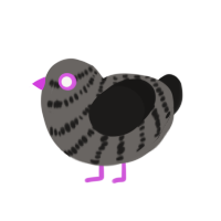 (unnamed), a grey and sable chicken with a bar pattern