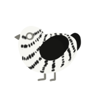 right of way, a white and black chicken with a bar pattern