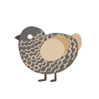 disturbed, a grey and beige chicken with a lace pattern