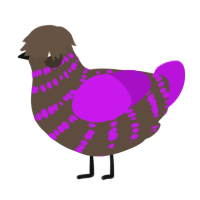 A bark and amethyst chicken with a bar pattern