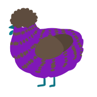 A violet and bark chicken with a bar pattern