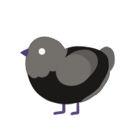 A sable and grey chicken with a head pattern