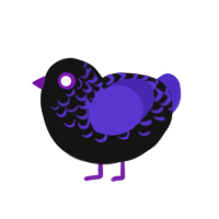 (unnamed), a black and indigo chicken with a half-lace pattern