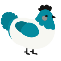 A white and sea chicken with a head pattern