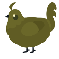 A olive chicken with a head pattern