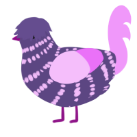 (unnamed), a overcast and lavender chicken with a bar pattern