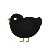 Faultline, a black and sable chicken with a half-lace pattern