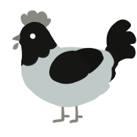 A silver and black chicken with a head pattern