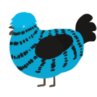 Rocken, a cerulean and sable chicken with a bar pattern