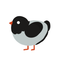 A silver and sable chicken with a head pattern
