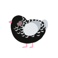 A black and mist chicken with a half-lace pattern