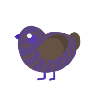 A overcast and bark chicken with a bar pattern