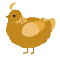 A ochre and honey chicken with a neck-speckle pattern