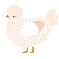 A cream chicken with a lace pattern