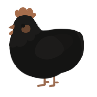 A black and sable chicken with a head pattern
