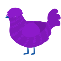 vio, a violet chicken with a bar pattern