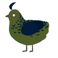 A olive and tumblr chicken with a half-lace pattern